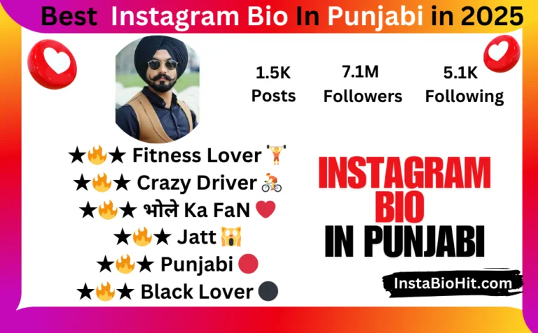 Instagram bio in punjabi