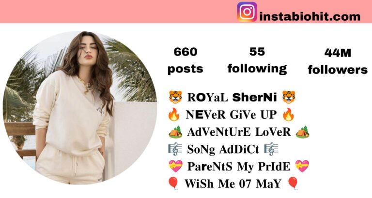 Best 167+ Life Instagram Bio In Hindi | New Stylish & Unique Bio Ideas 2026