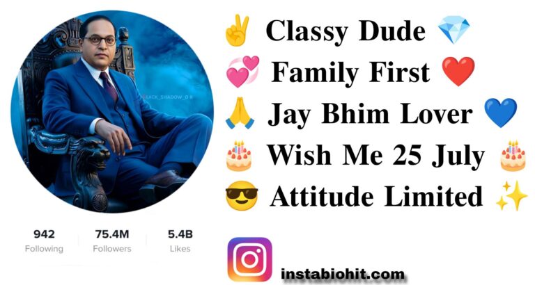 Best 791+ Jay Bhim Instagram Bio In Marathi Style – VIP & Attitude