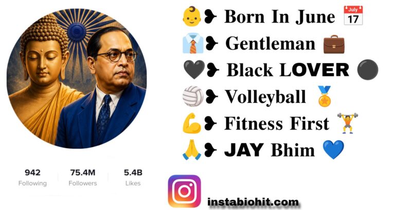 Best 791+ Jay Bhim Instagram Bio In Marathi Style – VIP & Attitude