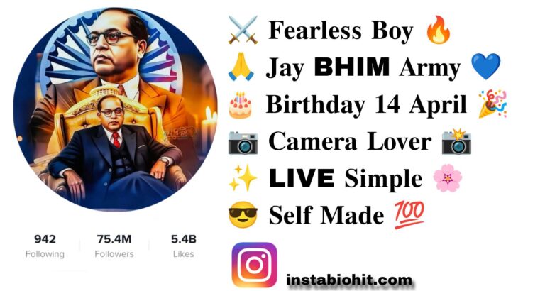 Best 791+ Jay Bhim Instagram Bio In Marathi Style – VIP & Attitude