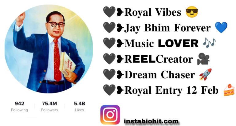Best 791+ Jay Bhim Instagram Bio In Marathi Style – VIP & Attitude