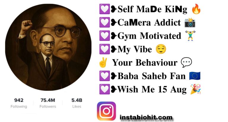 Best 791+ Jay Bhim Instagram Bio In Marathi Style – VIP & Attitude
