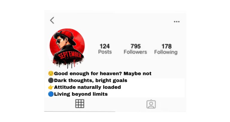 45+ Devil Bio for Instagram | Attitude, Stylish And Cool Bio